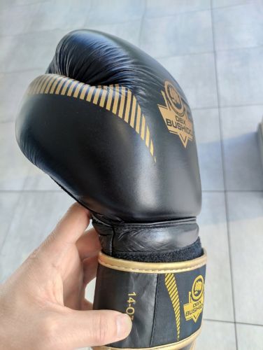 Aleksander, Roma Aleksander, Roma