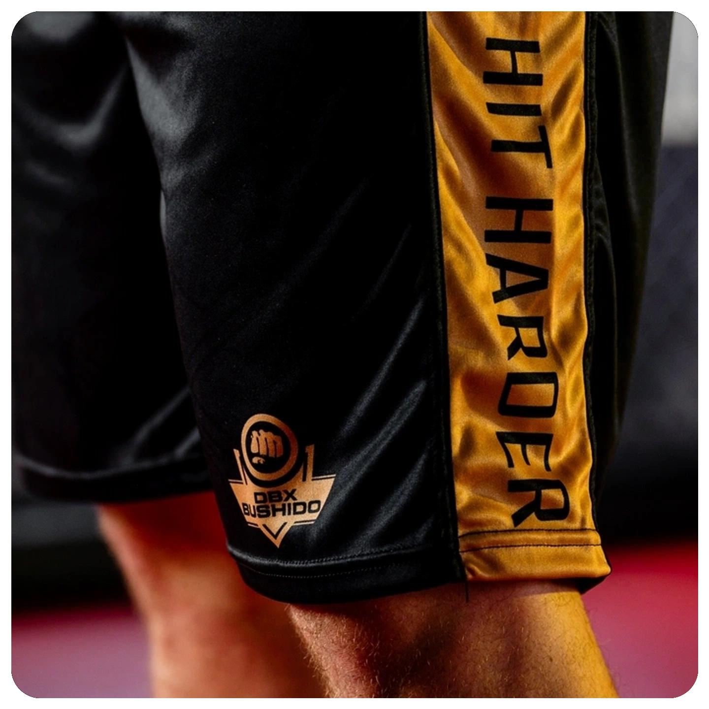 spodenki bokserskie gold dbx bushido