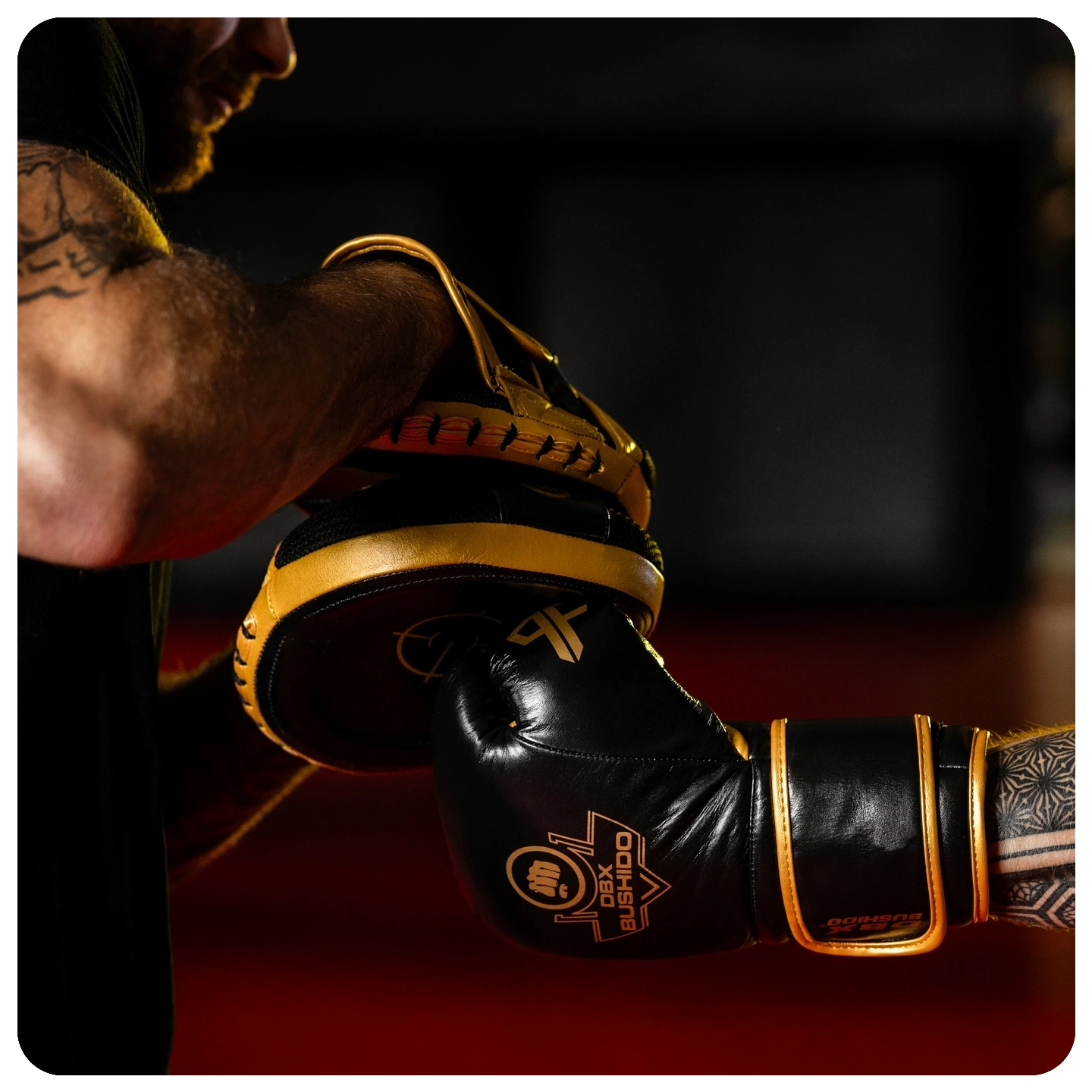 mateusz gamrot rękawice profighter gold bordeaux