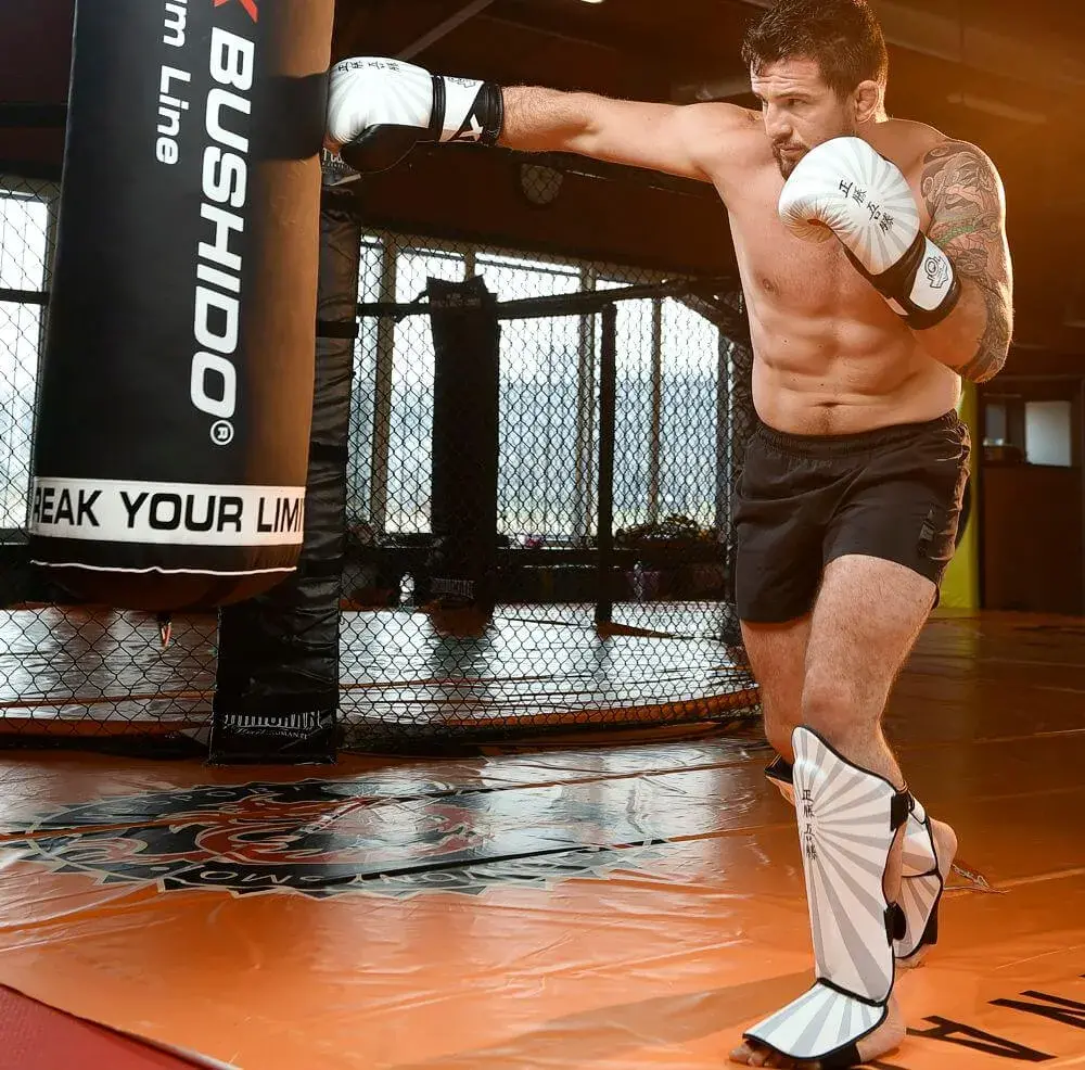 mma shin guards