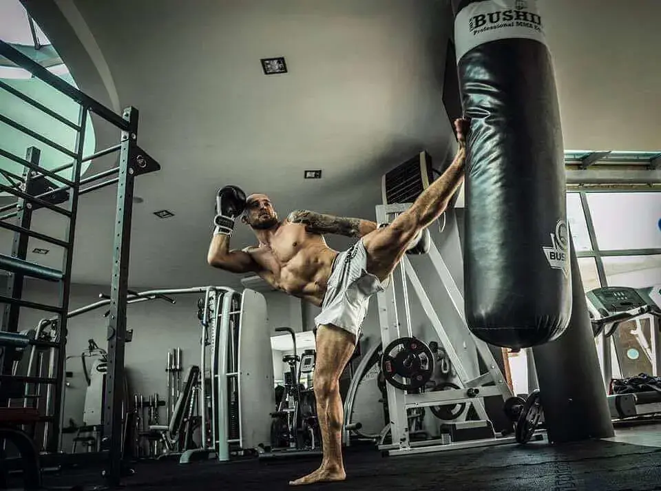 worek treningowy bushido