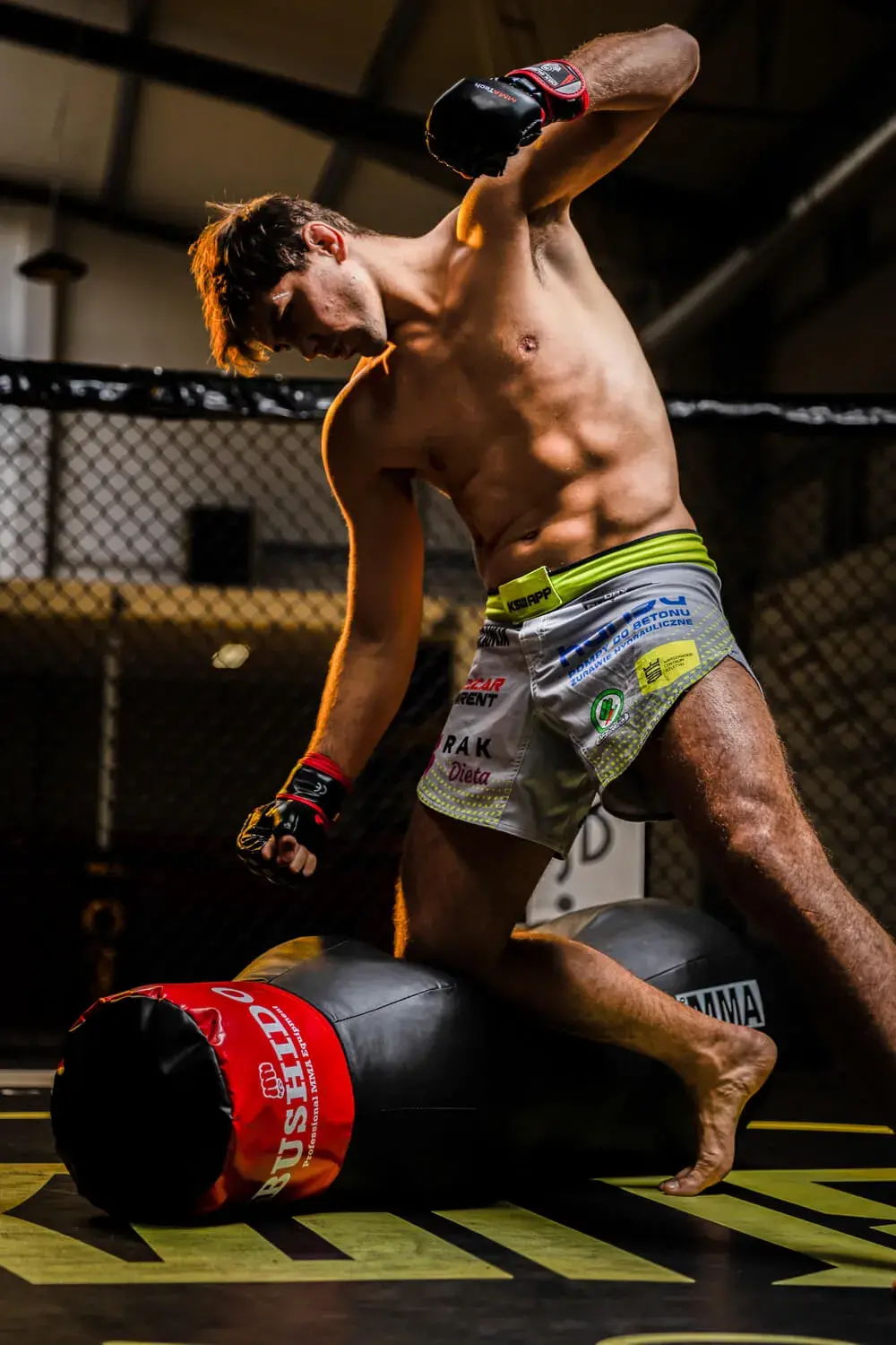 rekawice MMA 2014a Marian Ziółkowski