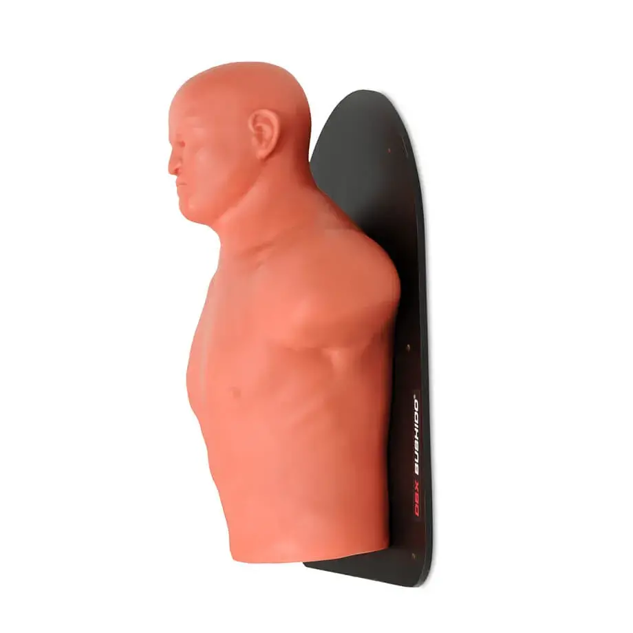 wall-mounted boxing target