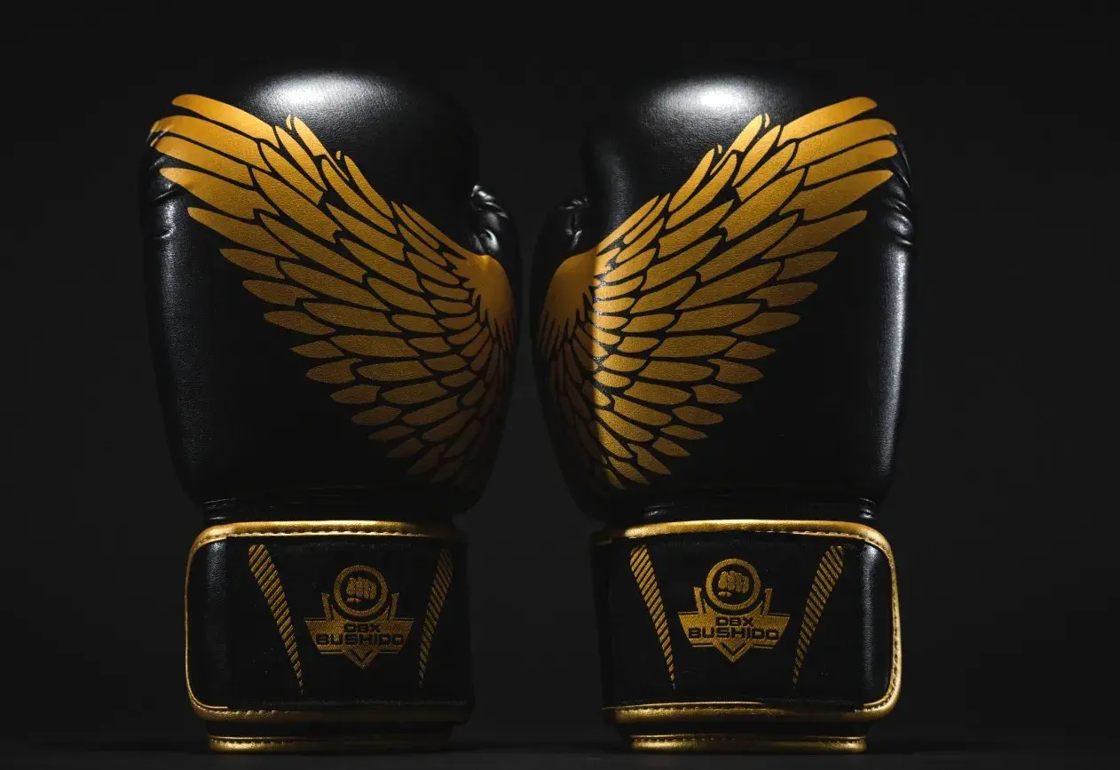 rekawice bokserskie 2v17 DBX Bushido