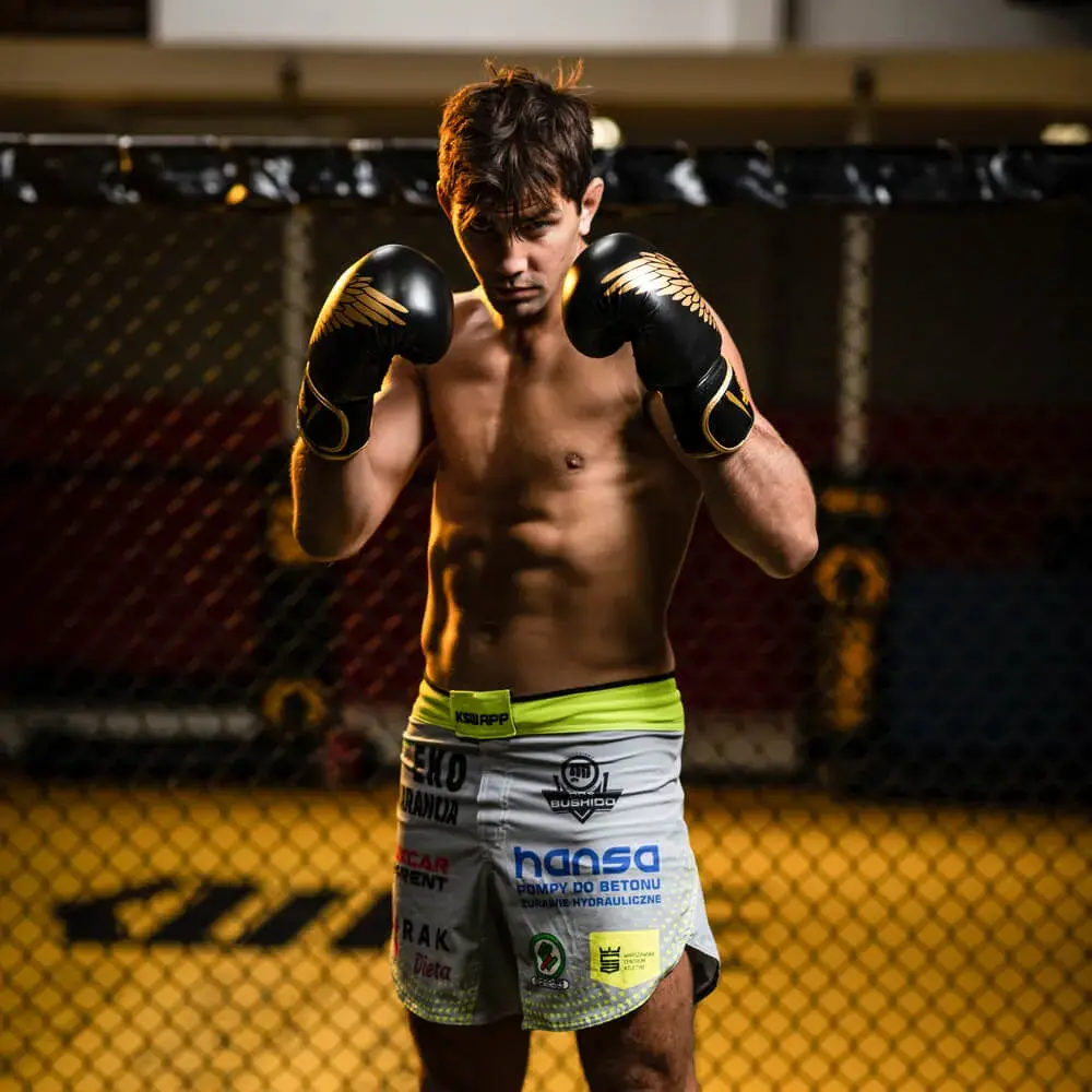 rekawice bokserskie b-2v17