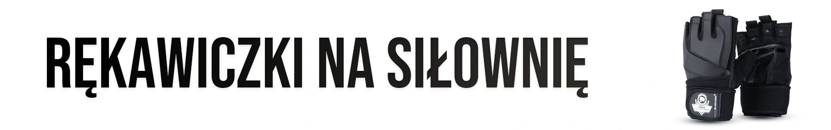 rękawice bokserskie DBX Bushido