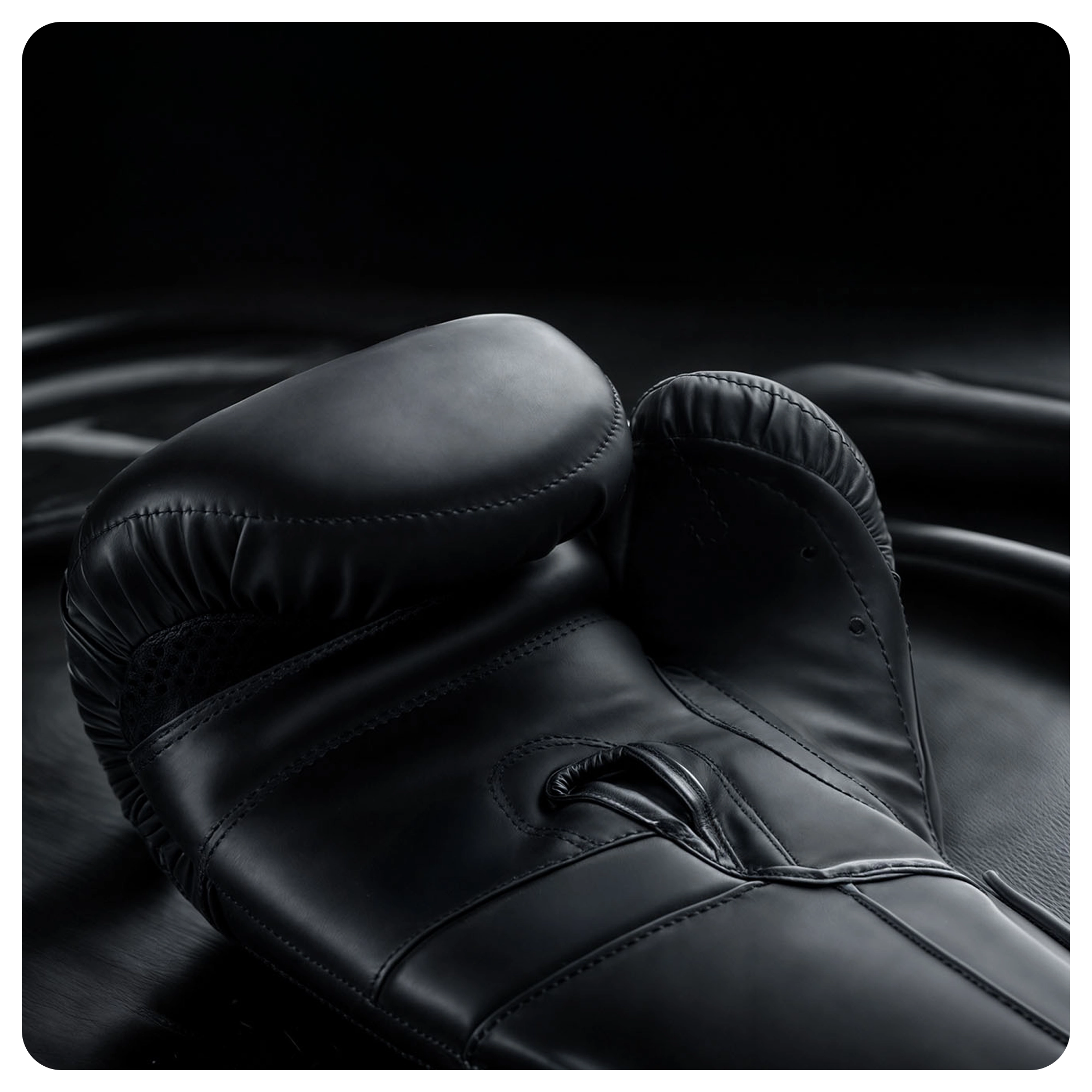 DBX Bushido rękawice bokserskie