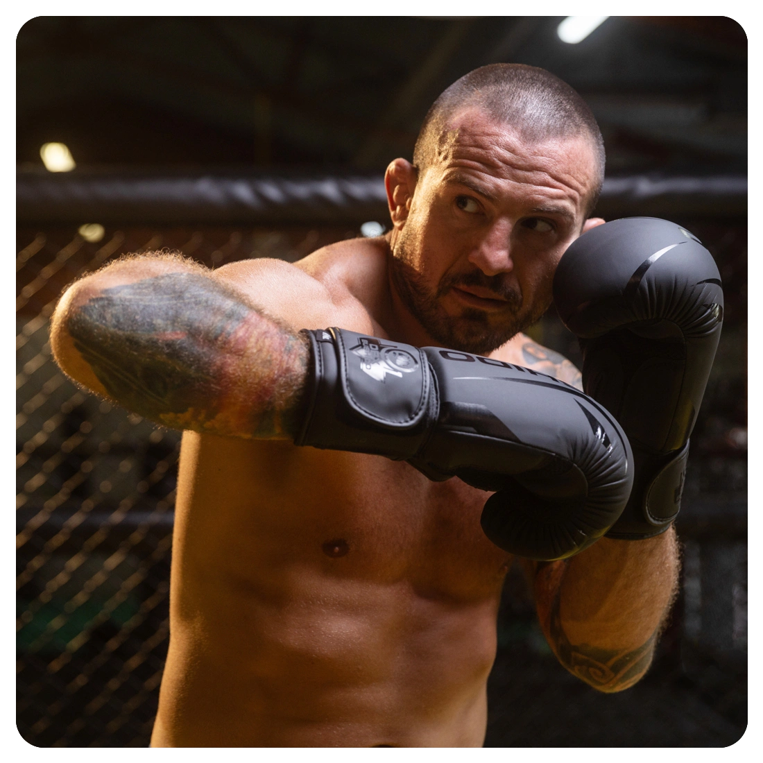 Raptor gloves front view