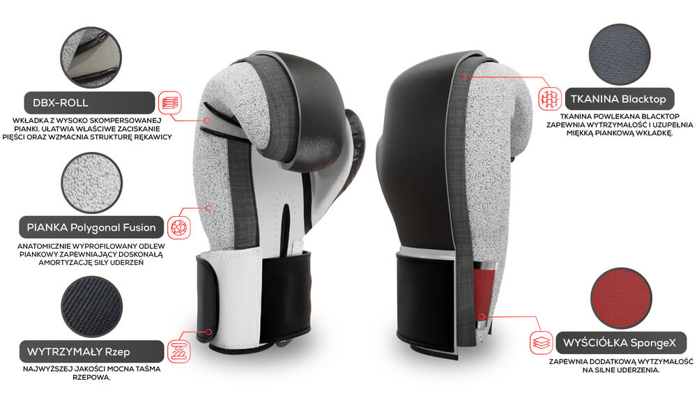 Infografika Gold Dragon