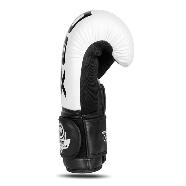 Boxing Gloves 10oz - Harmony - Valor Series