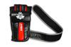 E1v4 MMA gloves DBX BUSHIDO M
