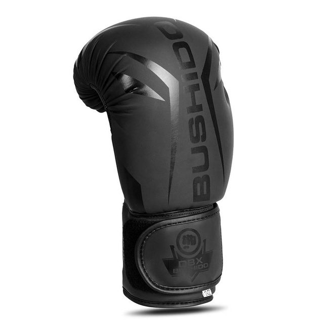 Boxing Gloves 10oz - Raptor - Origin Series