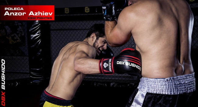 Boxing Gloves 12oz - Ninja - Legacy Series