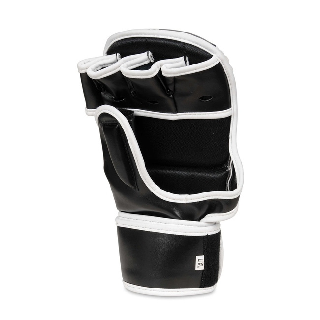ARM-2011A MMA gloves DBX BUSHIDO L/XL