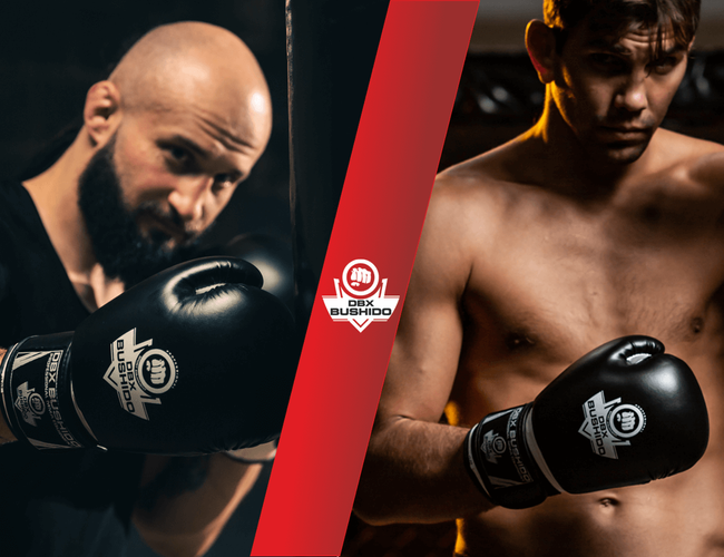 Rękawice bokserskie 14oz - Classic White - Origin Series | DBX Bushido