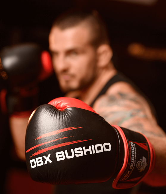 Rękawice bokserskie 12oz - Ninja - Legacy Series | DBX Bushido