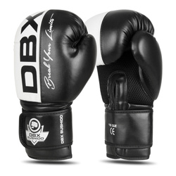 Boxing Gloves 10oz - Harmony - Valor Series