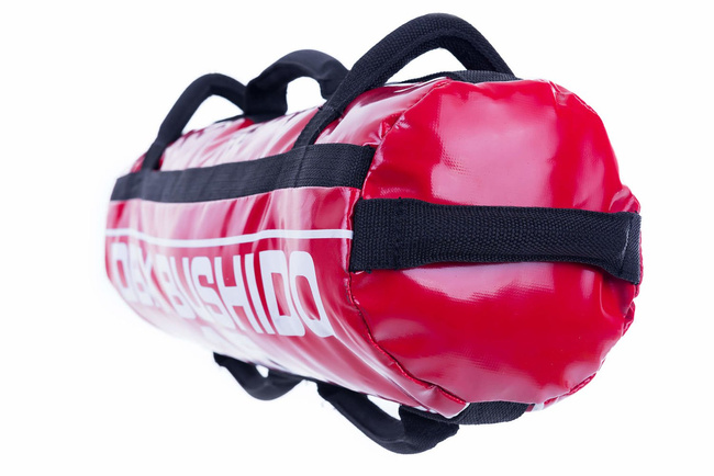 POWER BAG DBX BUSHIDO - CROSS TRAINING DEVICE - 15 KG