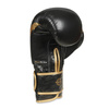 Boxing Gloves 10oz - Aureos - Valor Series