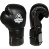 Boxing Set: B-2v9 10oz Gloves + Wraps + DBX DRYER Refresher