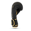 Boxing Gloves 10oz - Gold Dragon - Valor Series