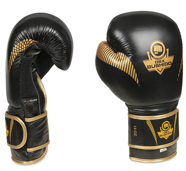 Boxing Gloves 10oz - Aureos - Valor Series