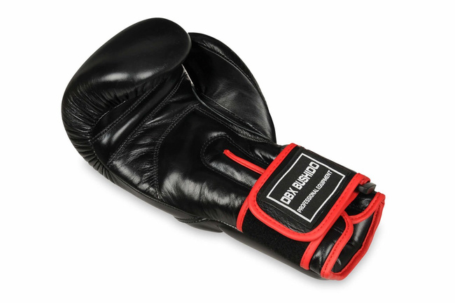 Boxing Gloves with Wrist Protect System BB2-10oz