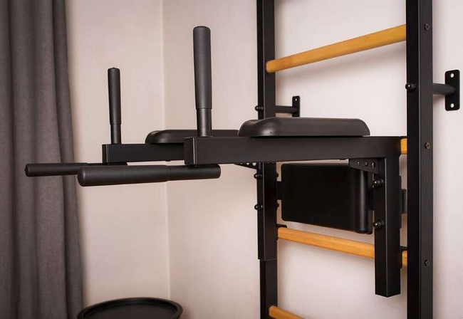 Gymnastic ladder with pull up bar K1