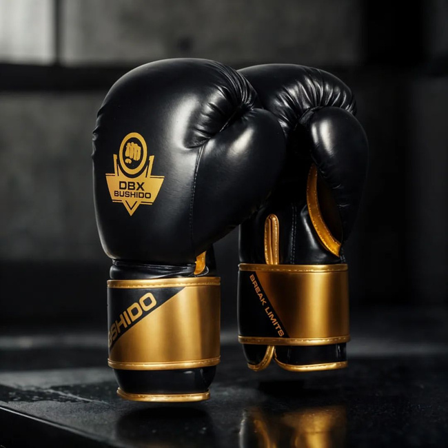 Boxing Gloves 12oz - Infinity - Origin Series