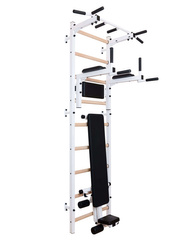 Gymnastic ladder with pull up bar K1