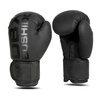 Boxing Gloves 10oz - Mono - Valor Series