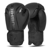 Boxing Gloves 10oz - Raptor - Origin Series