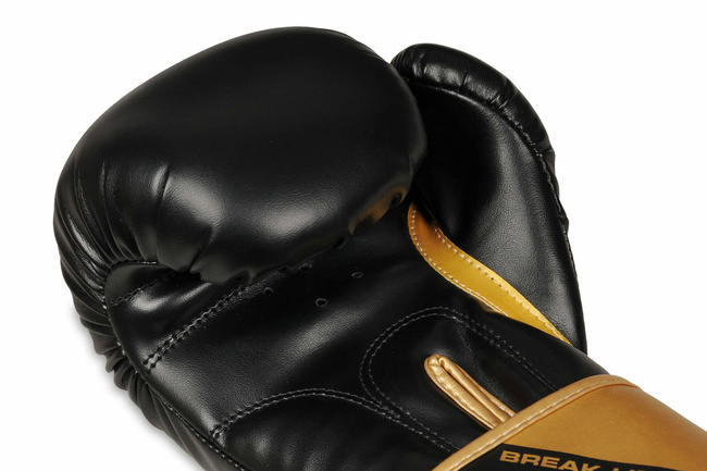 Boxing Gloves 12oz - Infinity - Origin Series