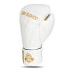 Rękawice bokserskie 10oz - Hammer White - Legacy Series | DBX Bushido