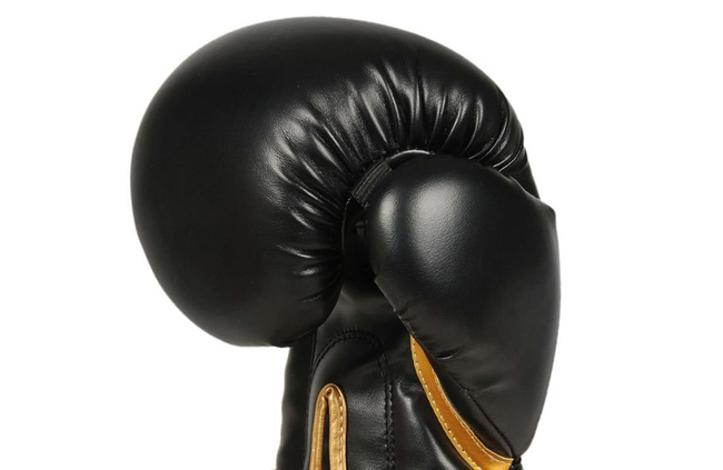 Boxing Gloves 10oz - Infinity - Origin Series
