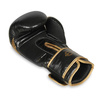 Boxing Gloves 12oz - Aureos - Valor Series