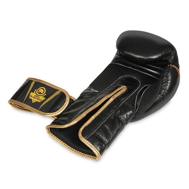 Boxing Gloves 12oz - Aureos - Valor Series