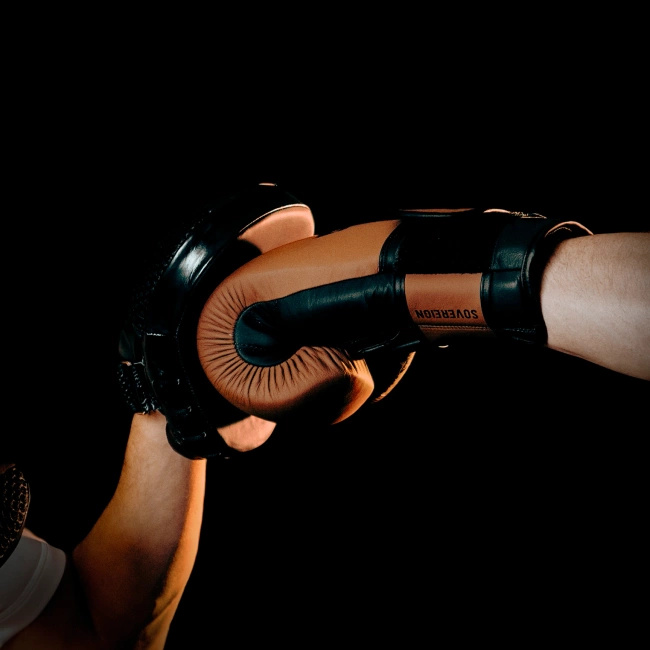 Rękawice bokserskie  ze skóry  RETRO brązowe wielowarstwowe wypełnienie - SOVEREIGN - Legacy Series | DBX Bushido