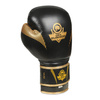 Boxing Gloves 12oz - Aureos - Valor Series