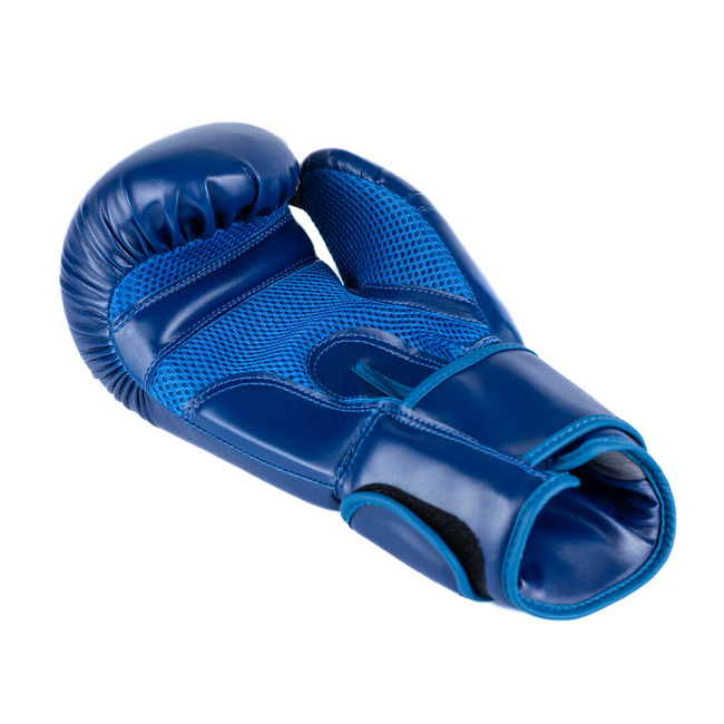 Boxing Gloves 12oz - Tournament Blue