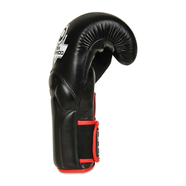Boxing Gloves with Wrist Protect System BB2-10oz