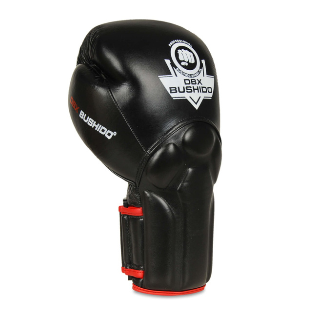 Boxing Gloves with Wrist Protect System BB2-10oz