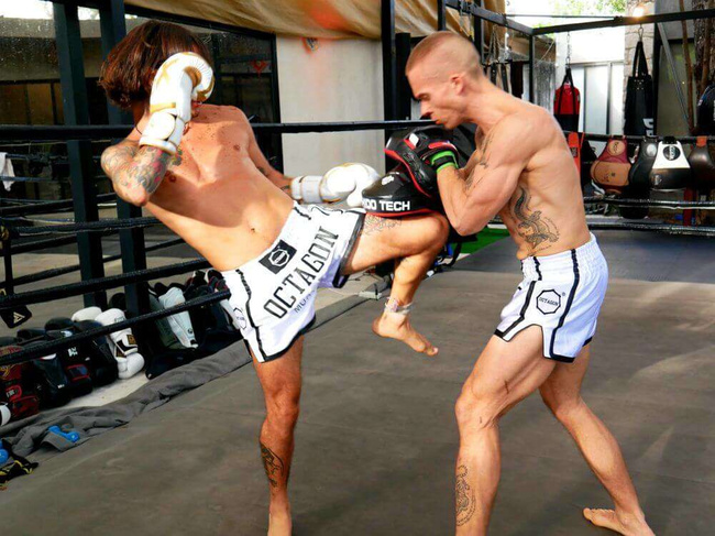 Łapy trenera ze skóry naturalnej | ARF-1101-S | DBX Bushido