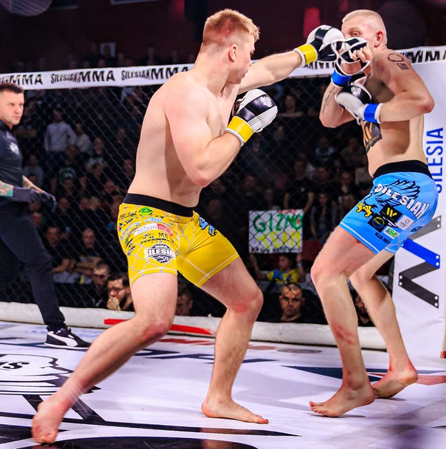 ARM-2011A MMA gloves DBX BUSHIDO L/XL