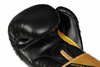 Boxing Gloves 10oz - Infinity - Origin Series