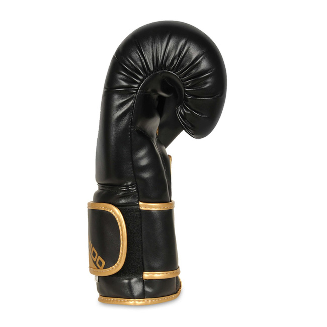 Boxing Gloves 12oz - Infinity - Origin Series