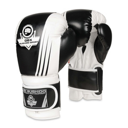 Boxing Gloves 10oz - Edge - Valor Series