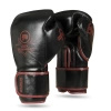 Multi-layer Boxing Gloves - ProFighter Bordeaux - Legacy Series