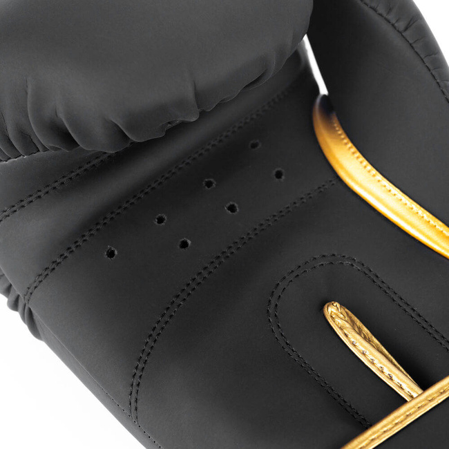 Boxing Gloves 10oz - Gold Dragon - Valor Series