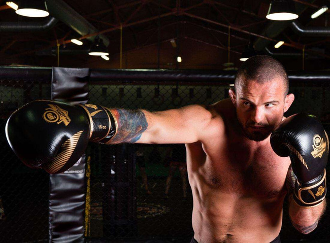 Boxing Gloves 12oz - Aureos - Valor Series